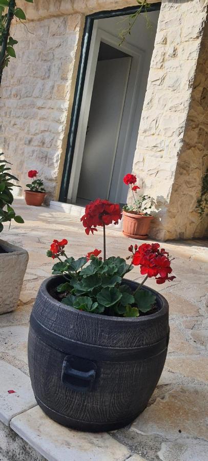 Holiday Home Jakov Bibinje Εξωτερικό φωτογραφία
